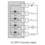 ПЛК, Программируемый Логический Контроллер, PLC Haiwell: N60S2T-e, со склада